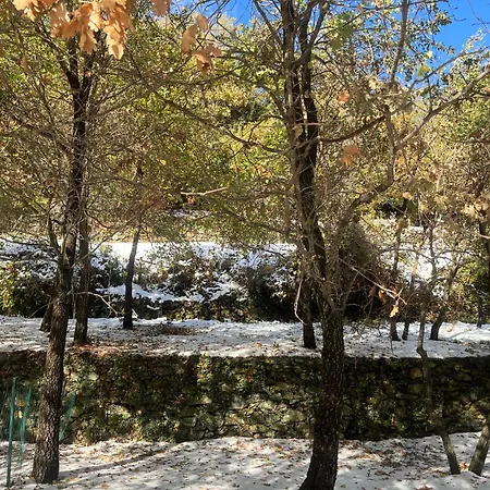 La Demeure Des Vignes 乡村民宿 Murato