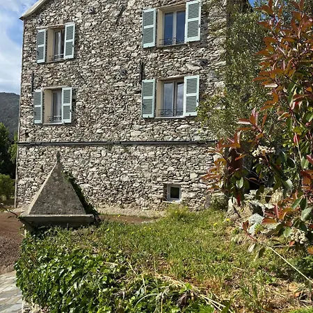 La Demeure Des Vignes Murato