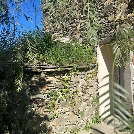La Demeure Des Vignes * Murato