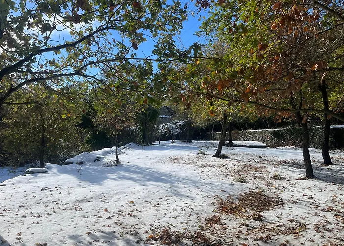 La Demeure Des Vignes *