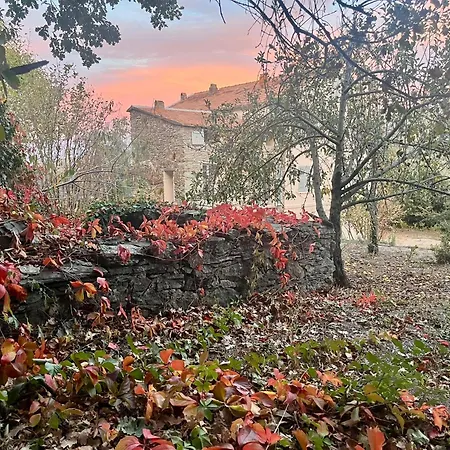 La Demeure Des Vignes *