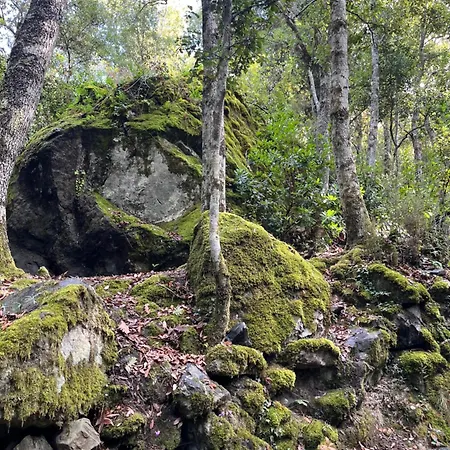 La Demeure Des Vignes