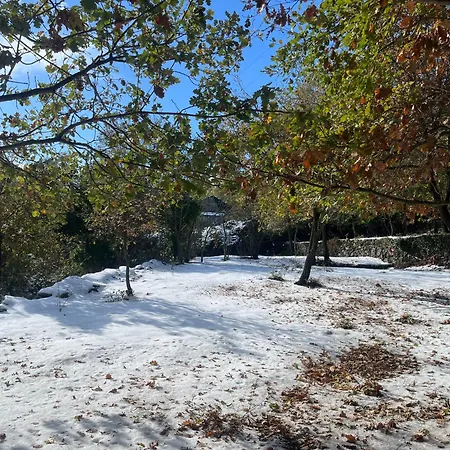 La Demeure Des Vignes *