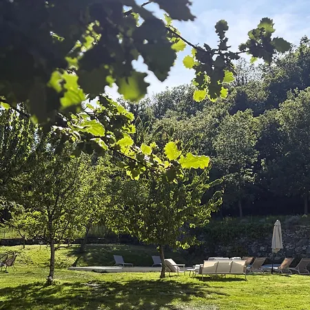 La Demeure Des Vignes Murato