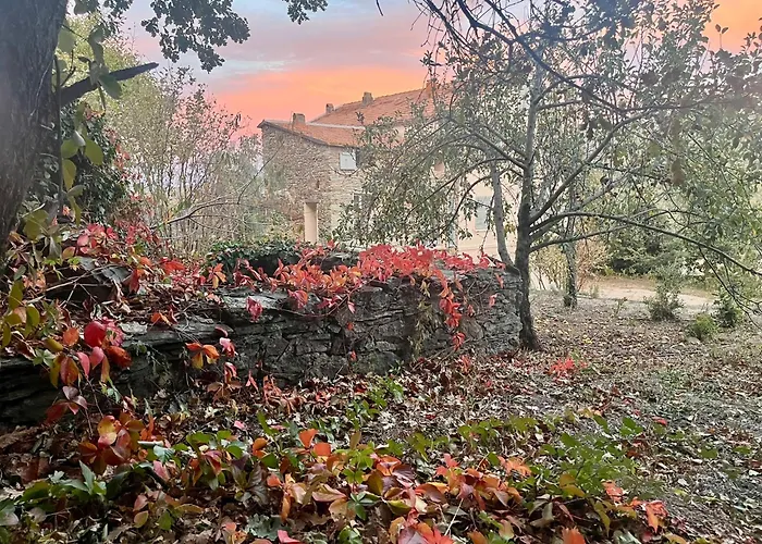 La Demeure Des Vignes *