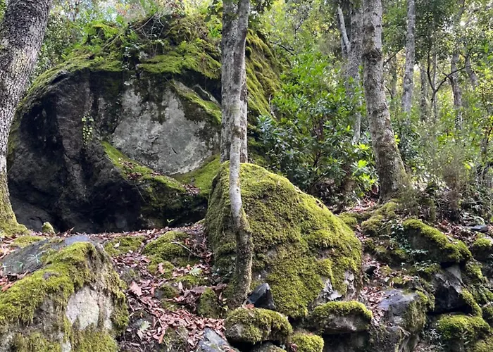 La Demeure Des Vignes